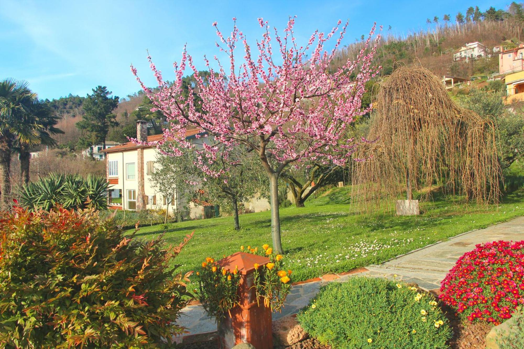 Casa Vacanze Ester Polverara Екстер'єр фото