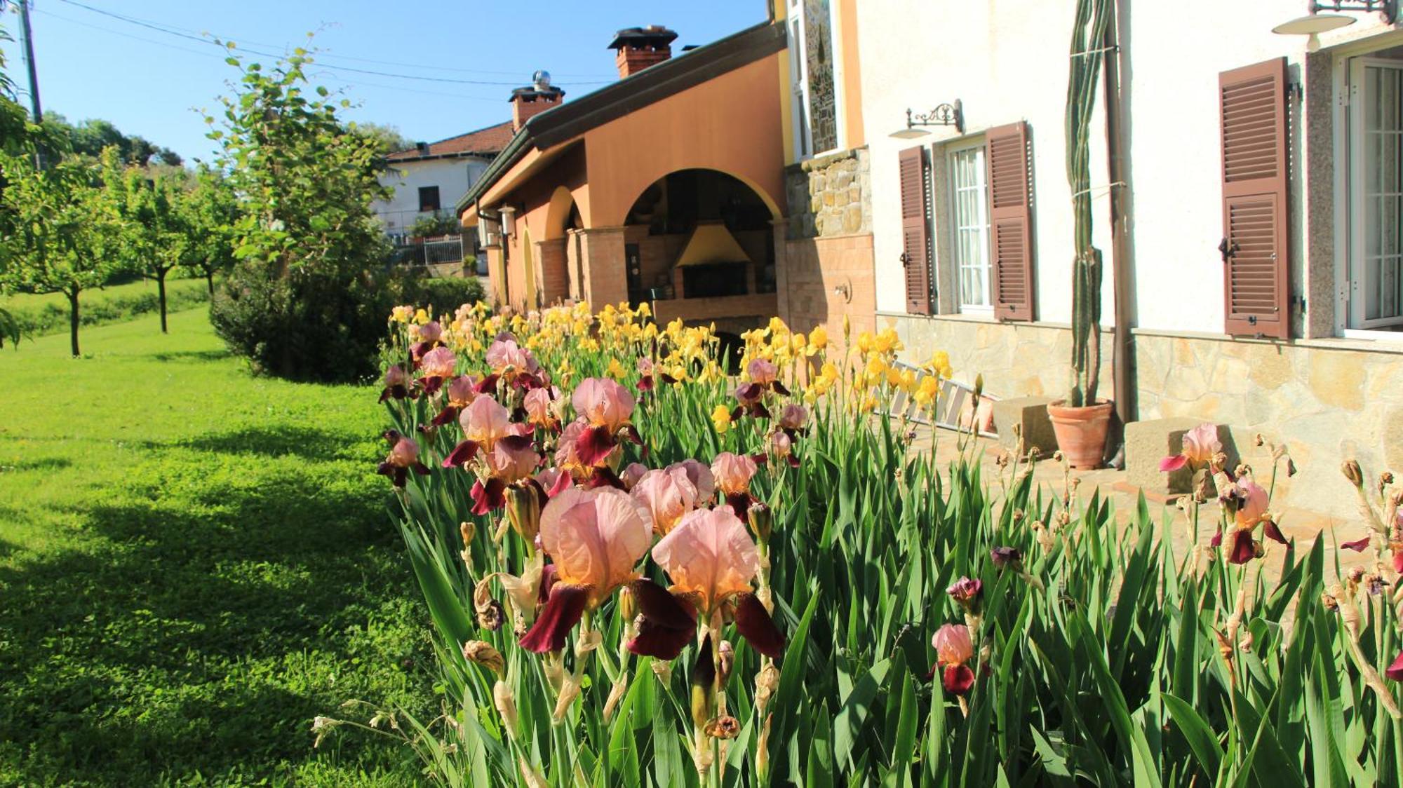 Casa Vacanze Ester Polverara Екстер'єр фото